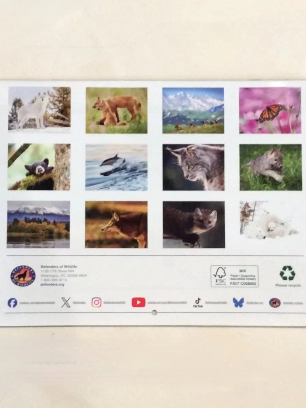 Defenders of Wildlife 2026-2027 Eighteen-Month Calendar